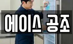 에이스 공조