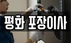 평화 포장이사