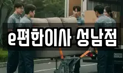 경기도 성남시 분당구 궁내동 이사,용달이사,포장이사,원룸이사,보관이사