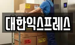 경기도 성남시 분당구 금곡동 이사,용달이사,포장이사,원룸이사,보관이사