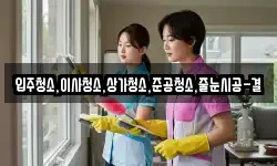 입주청소,이사청소,상가청소,준공청소,줄눈시공-결