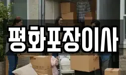 경기도 성남시 분당구 대장동 이사,용달이사,포장이사,원룸이사,보관이사