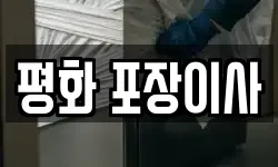 평화 포장이사