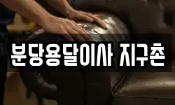 분당용달이사 지구촌