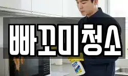 빠꼬미청소