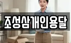 조성삼개인용달