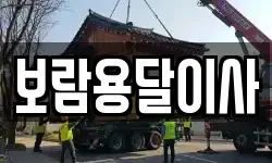 보람용달이사