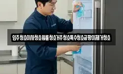 입주청소이사청소원룸청소거주청소특수청소곰팡이제거청소