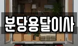 분당용달이사