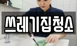 쓰레기집청소