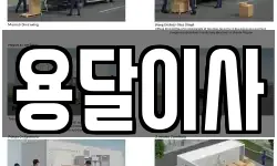 용달이사