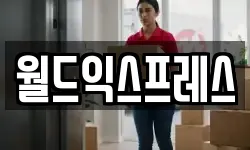 월드익스프레스
