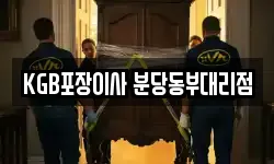 KGB포장이사 분당동부대리점