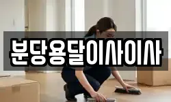 분당용달이사이사