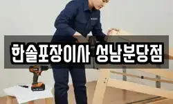 경기도 성남시 분당구 판교동 이사,용달이사,포장이사,원룸이사,보관이사