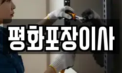 평화포장이사