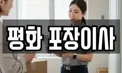 평화 포장이사