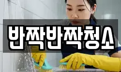 경기도 성남시 수정구 고등동 청소,입주청소,사무실청소,에어컨청소