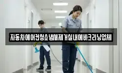 자동차에어컨청소냄새제거실내에바크리닝업체