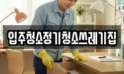 입주청소정기청소쓰레기집