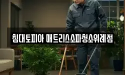 침대토피아 매트리스소파청소위례점