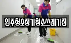 입주청소정기청소쓰레기집