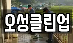 오성클린업