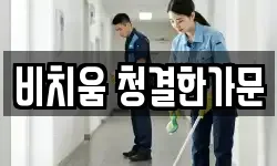비치움 청결한가문