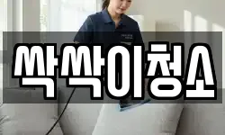 싹싹이청소