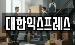 대한익스프레스
