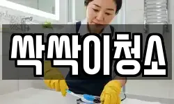싹싹이청소