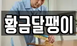 경기도 성남시 수정구 양지동 청소,입주청소,사무실청소,에어컨청소