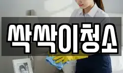 싹싹이청소