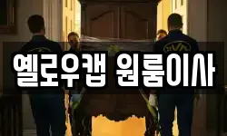 옐로우캡 원룸이사