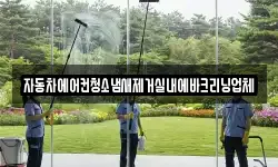 자동차에어컨청소냄새제거실내에바크리닝업체
