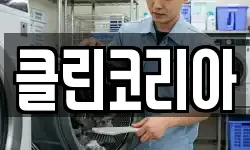 클린코리아