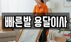 빠른발 용달이사