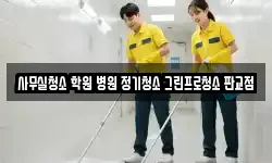 사무실청소 학원 병원 정기청소 그린프로청소 판교점
