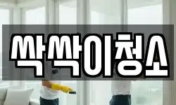 싹싹이청소