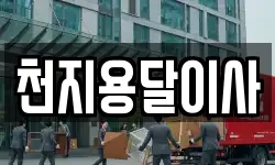 천지용달이사