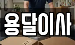 용달이사