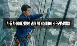 자동차에어컨청소냄새제거실내에바크리닝업체