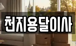 천지용달이사