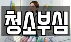 청소부심