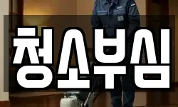 청소부심