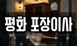 평화 포장이사