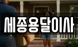 세종용달이사
