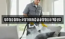 입주청소잘하는곳상가이사준공공장청소자격증보유