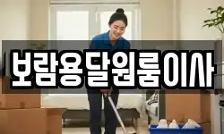 보람용달원룸이사