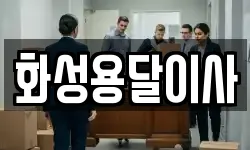 화성용달이사